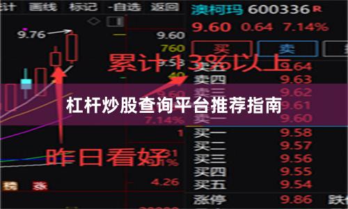 杠杆炒股查询平台推荐指南