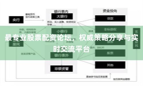 最专业股票配资论坛，权威策略分享与实时交流平台