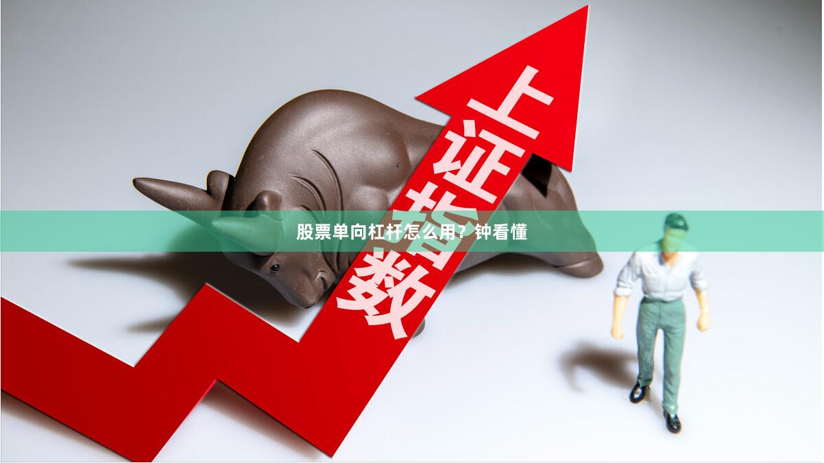 股票单向杠杆怎么用?钟看懂